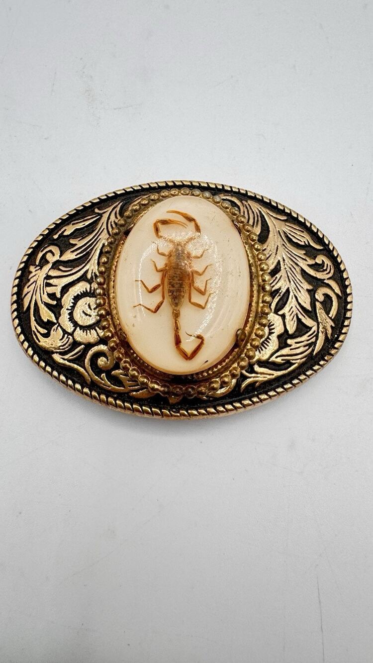 Vintage Genuine Scorpion In Lucite Oval Western Cowboy Belt Buckle Made In USA